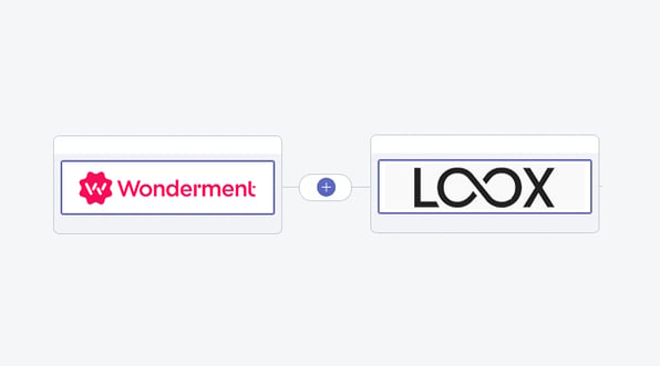 wonderment.com + loox reviews shopify